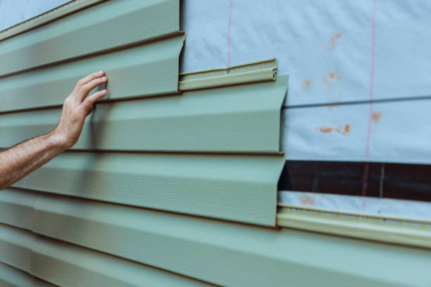 Best Vinyl Siding Installation  in Georgetown, IL